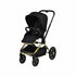 Maverick Yellow Gold with Black Stroller