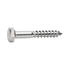 Coach Screw M8x60mm