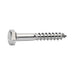 Coach Screw M8x60mm