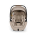 Nuna Arra™  Flex Car Seat - Cosmopolitan