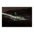 Fenix HM50R Multipurpose LED Headlamp