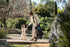 Nuna IXXA™ Stroller