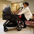 Onida Flex II Stroller - Black