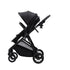 Onida Flex II Stroller - Black