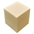 H Lock: 95mm x 95mm x 100mm