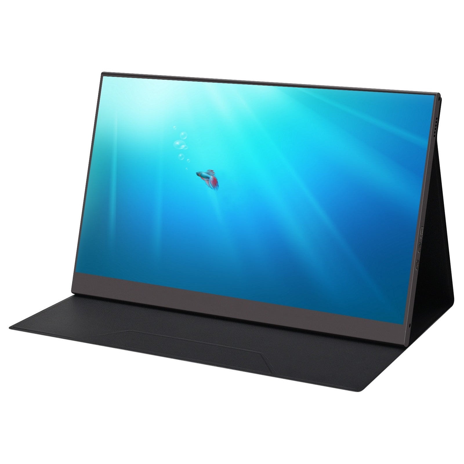 MECER 15.6'' IPS FHD USB Monitor Non-Touch Aluminium/ 16:9/ 4ms/250cd/m2/ TYPE C x2/ Mini HDMI x1 w/smart cover.