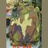 Backpack Bag (ONT2518) - Multicolor