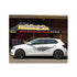 Shark Chrome 3D Gel Dome Sticker