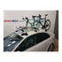 TreeFrog Vacuum Mount Cross Roof Rack