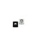 Paxton Exit Button - E50