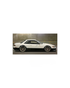 Universal Plastic Wheel Arches (All Wides)