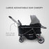 Switch 2 IN 1 Wagon Stroller