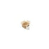 RSC: 220mm x 160mm x 120mm