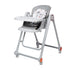 Emerald Baby 2 in 1 Deluxe Adjustable High Chair with SWING