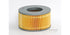 ADG974 Air Filter (GUD)
