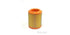 AG1703 Air Filter Jeep Cpmass (GUD)