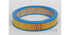 AG453 Air Filter Ford (GUD)