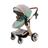 2 in 1 Egg Stroller - Platinum