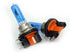 ECOTECH - H1512V-15/55W - Bulb
