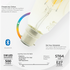 Connex Connect Smart Home Smart Wi-Fi Bulb 5w LED Amber Filament Vintage Bayonet