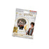 COOL THINGS Harry Potter Buddies - 3D Figurines