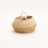 BELLY BASKET PLANTER