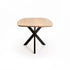 DAL DANISH OVAL SOLID WOOD DINING TABLE