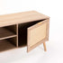 DEWI 2 DOOR TV UNIT