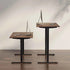 ELECTRIC HEIGHT ADJUSTABLE SIT-STAND DESK