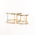 GIO SET OF 2 STONE TOP COFFEE TABLE - GOLD LEG