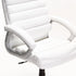 LUXURY EXECUTIVE HIBACK OFFICE CHAIR CM113