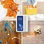 Dreame Dreame Wet & Dry 1l Multi-Surface Floor Cleaner