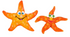 Flamingo Ad Leto Starfish Ass 8X7X2cm