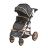 3 in 1 Emerald Baby Gold Rush Travel System
