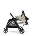 Selfie Stroller - Peg Perego Made in Italy