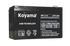 SABAT BATTERIES - NP45AH - Starter Battery