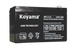 SABAT BATTERIES - NP45AH - Starter Battery