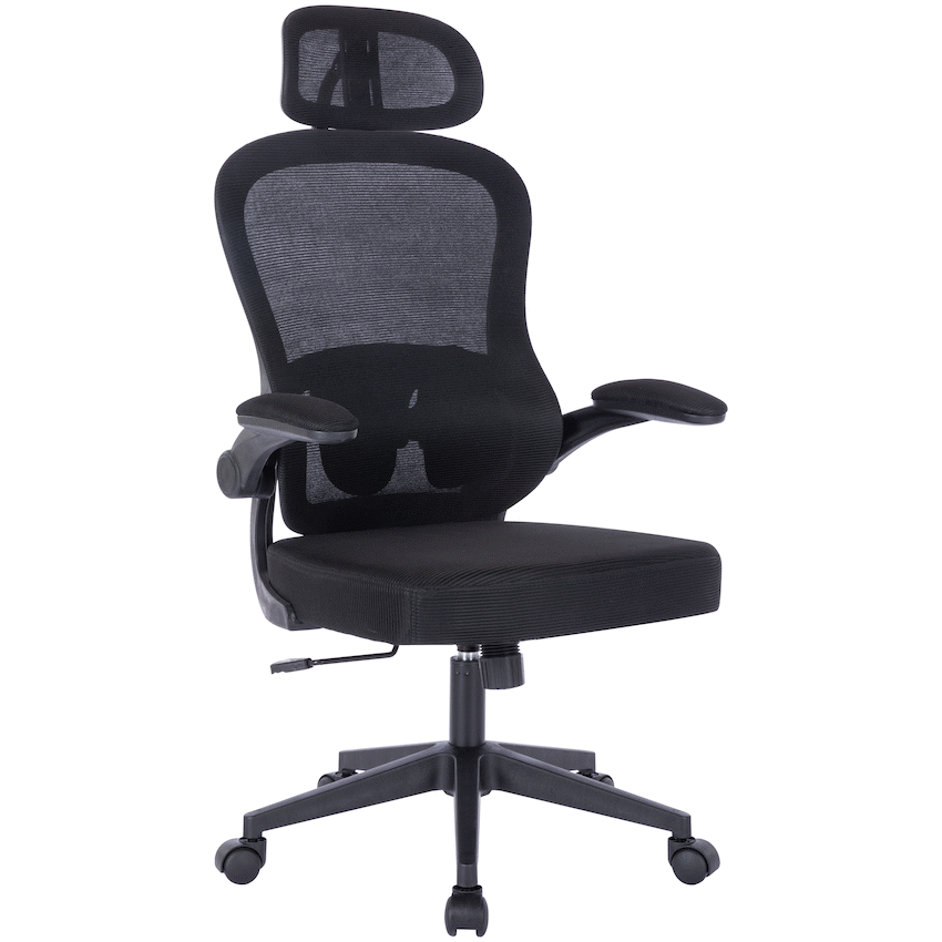 Everfurn Eden 2 -  High Back Office Chair
