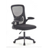 Everfurn Furniture Everfurn Ella Mid Back Office Chair - Black