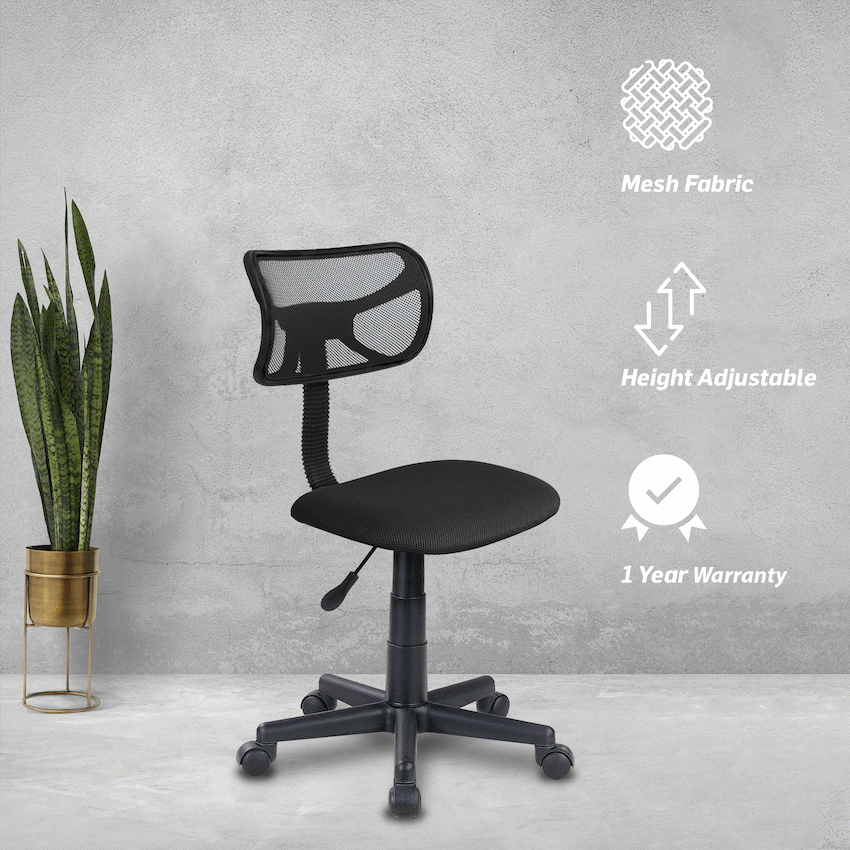Everfurn Furniture Everfurn Julia Chair