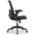 Everfurn Furniture Everfurn Skye Mid Back Office Chair - Black