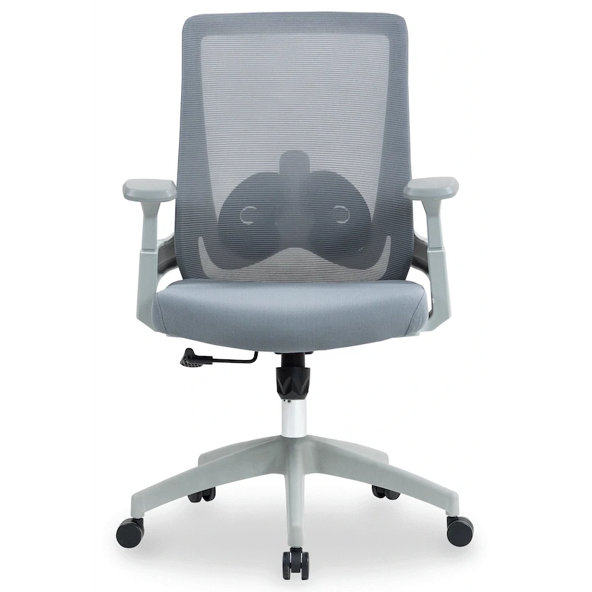 Everfurn Furniture Everfurn Skye Mid Back Office Chair - Grey