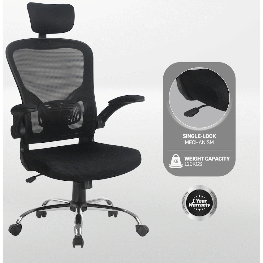 Everfurn Furniture Everfurn Stagio Ergo High Back Office Chair