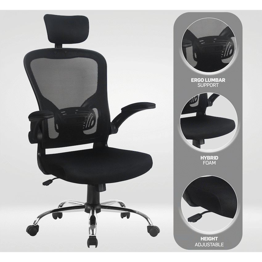 Everfurn Furniture Everfurn Stagio Ergo High Back Office Chair