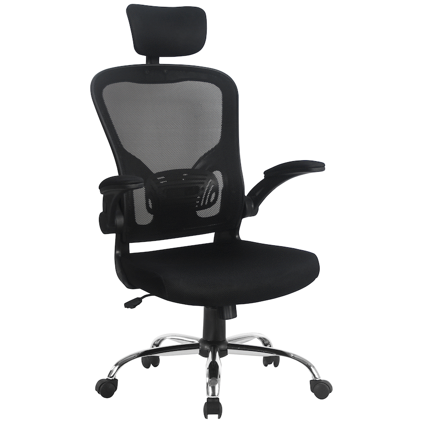 Everfurn Furniture Everfurn Stagio Ergo High Back Office Chair