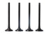 Exhaust Valve Set for Renault Megane II, Laguna II, Opel Vivaro & More – MAP-100859