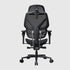 Thunderx3 Flex Pro Ergonomic Chair - Mesh Black (TEGC-3076101.12).