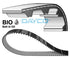Ford Fiesta / Focus / EcoSport / B-MAX Wet Timing Belt (1.0 EcoBoost) - 941092