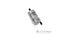 Fram Petrol Filter G9791