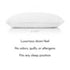 Malouf Z Gelled Microfibre Pillow - MAL-ZZQQ00GM